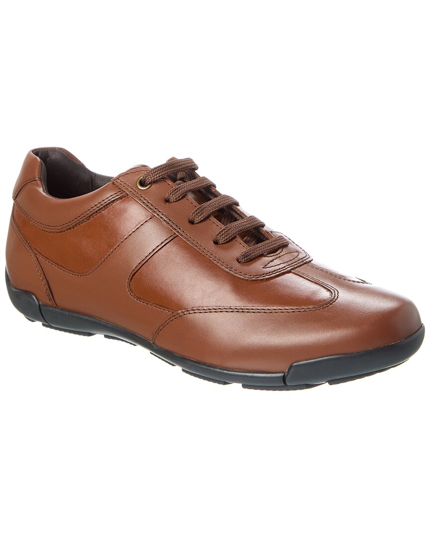 Geox Edgware Leather Sneaker