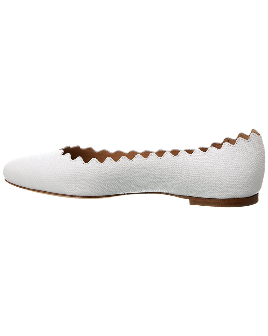 Chloé Lauren Scalloped Leather Ballerina Flat