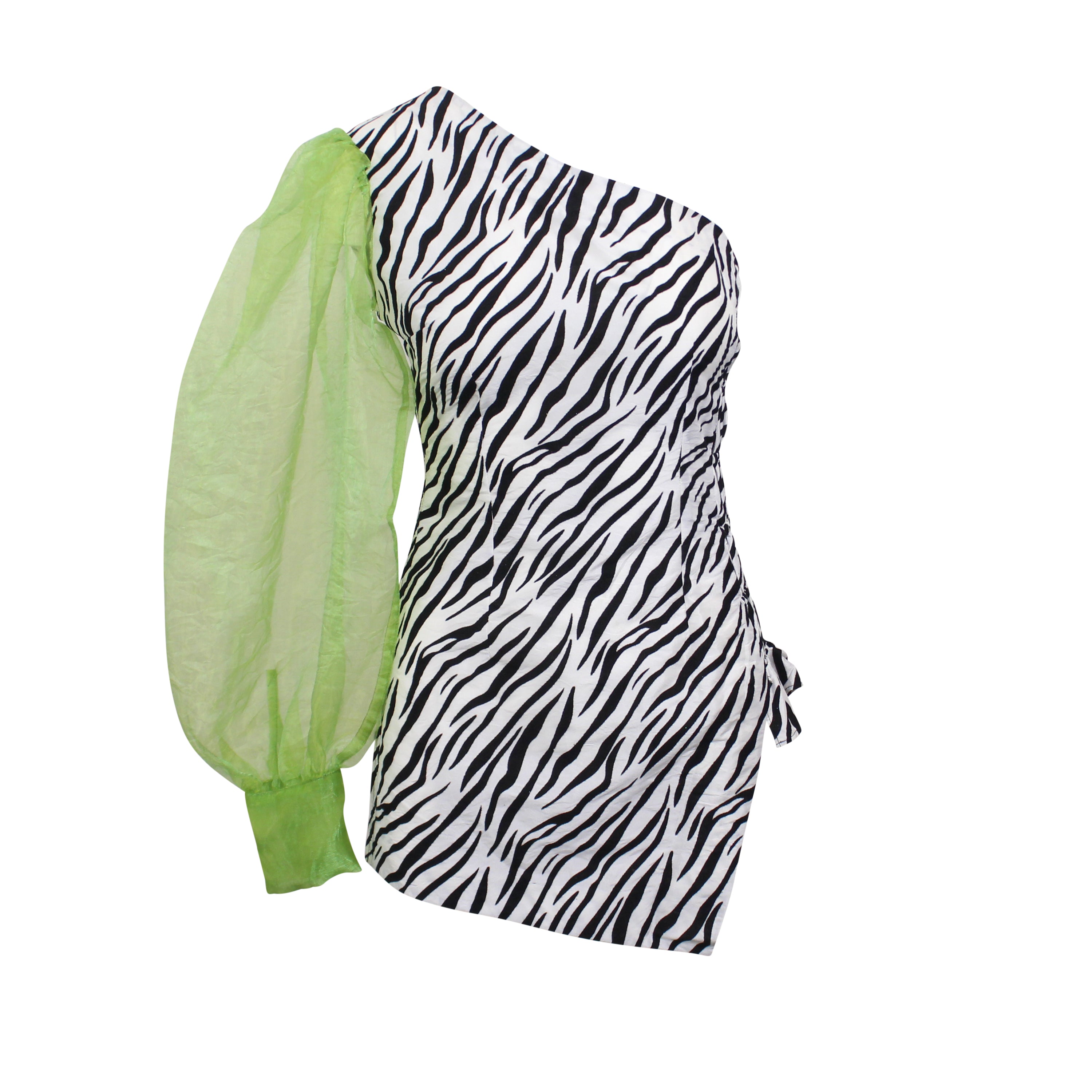 ROBERTO SANCHEZ ZEBRA GREEN TONGOLELE DRESS1