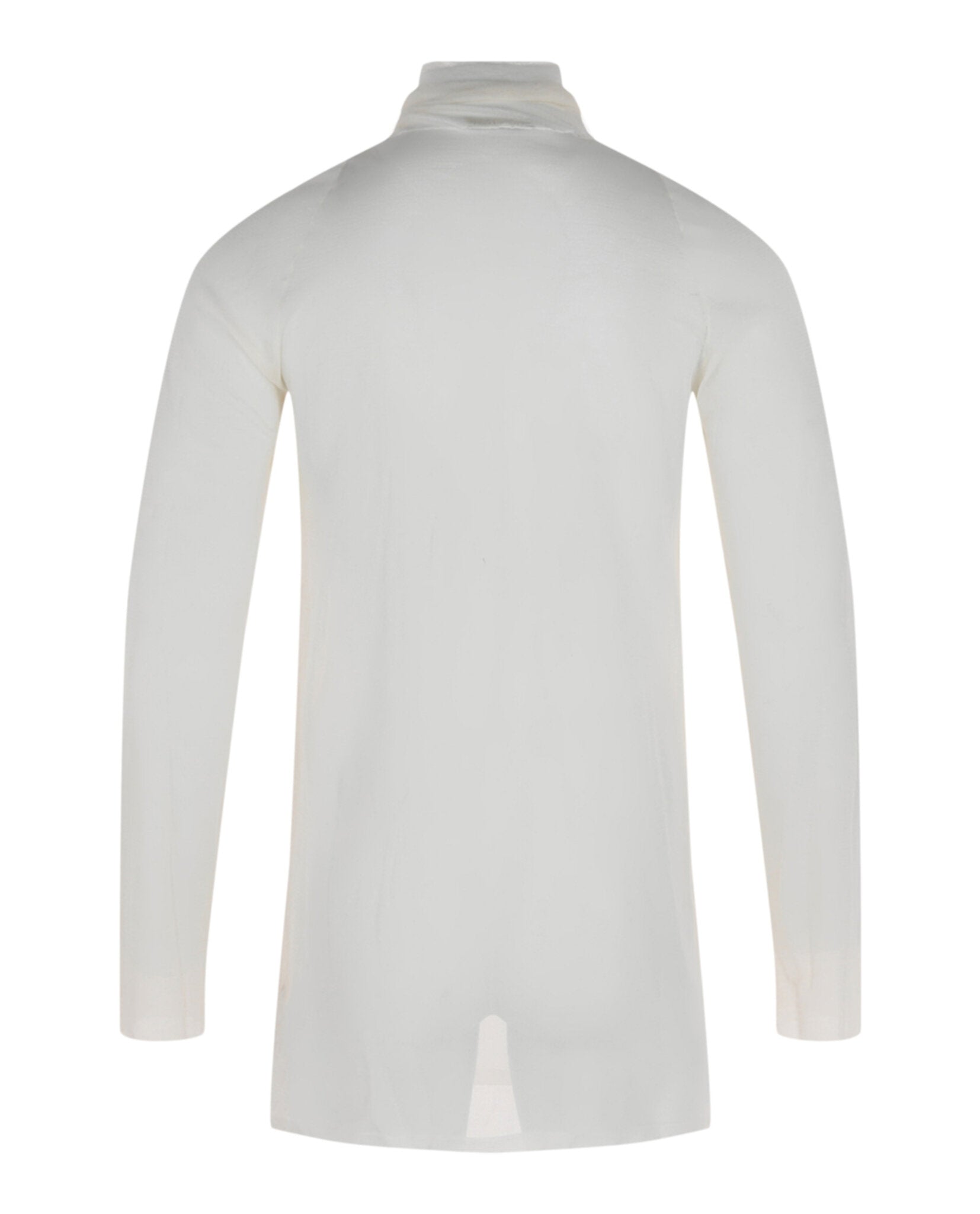 Bottega Veneta Mens Transparent Silk Turtleneck Sweater