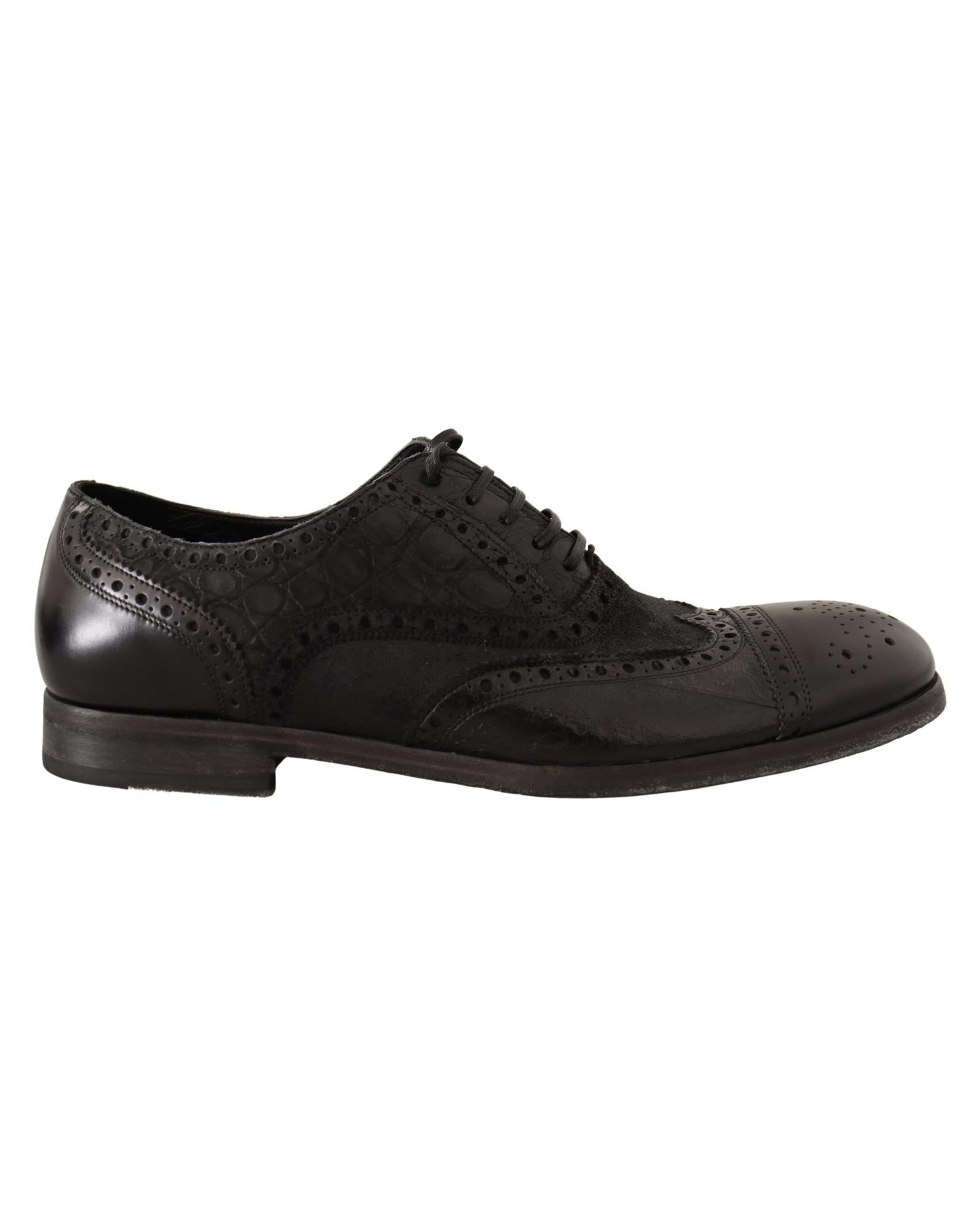 Dolce & Gabbana Exquisite  Leather Wing Tip Formal Shoes