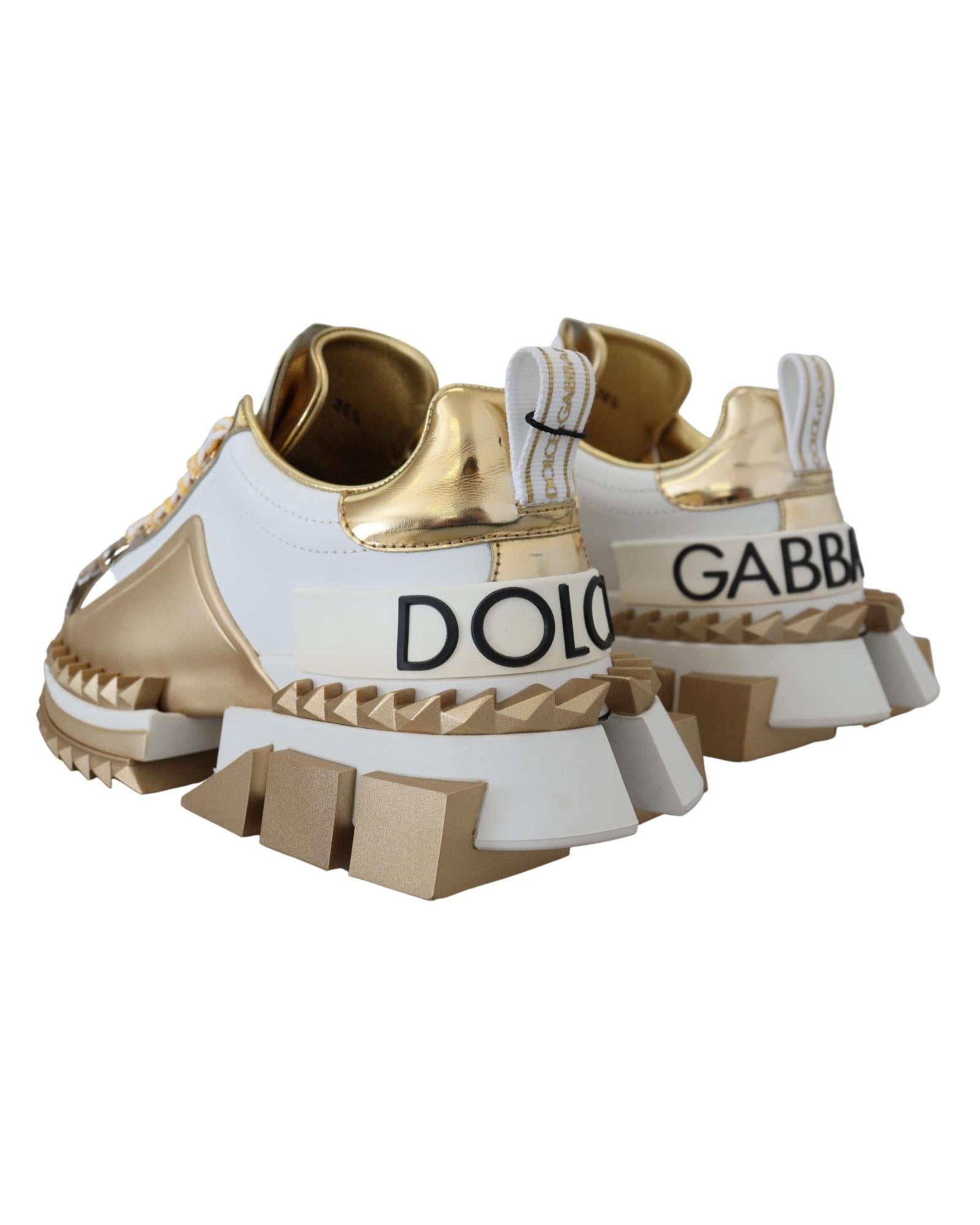 Dolce & Gabbana Gorgeous  and Gold Leather Sneakers2