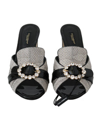 Dolce & Gabbana Exotic Leather Crystal Sandals15