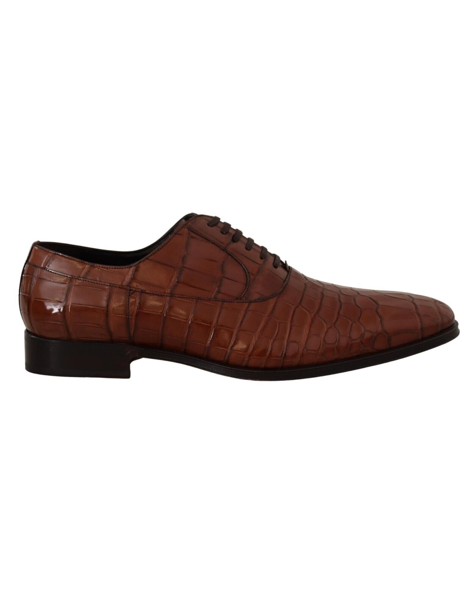 Dolce & Gabbana Exquisite  Crocodile Leather Formal Shoes