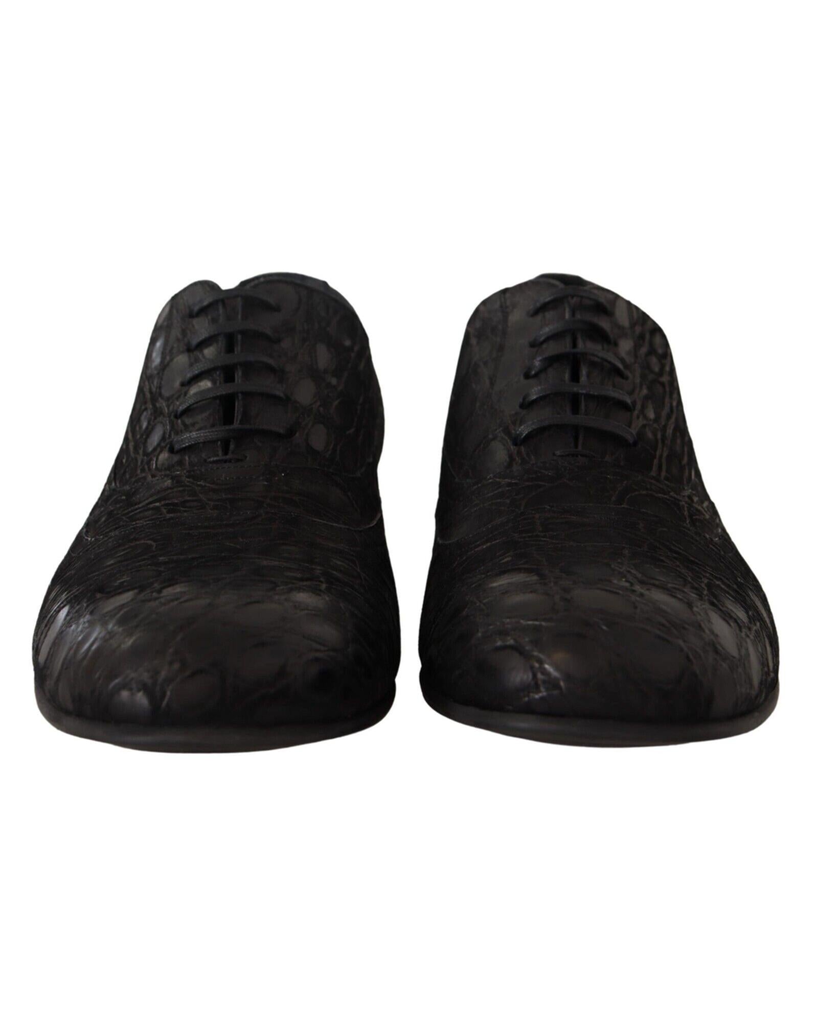 Dolce & Gabbana Exotic  Leather Oxford Shoes