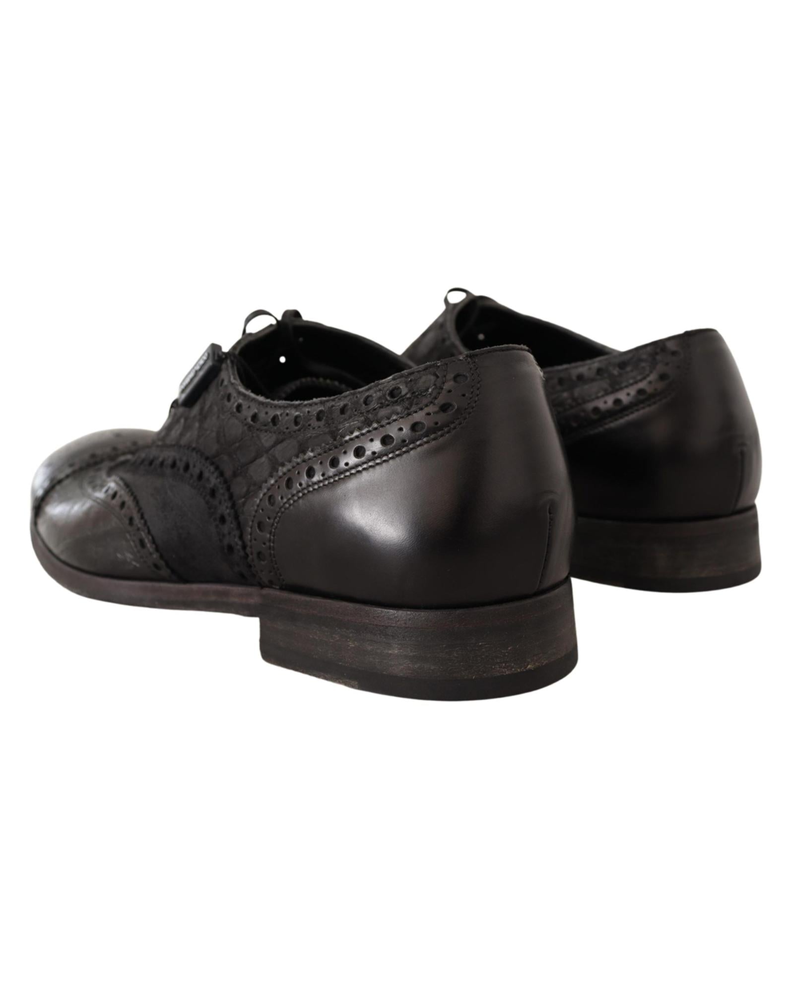 Dolce & Gabbana Exquisite  Leather Wing Tip Formal Shoes